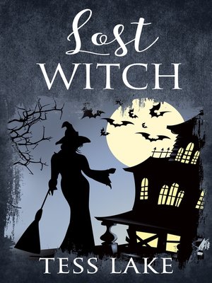 Lost Witch - ebook